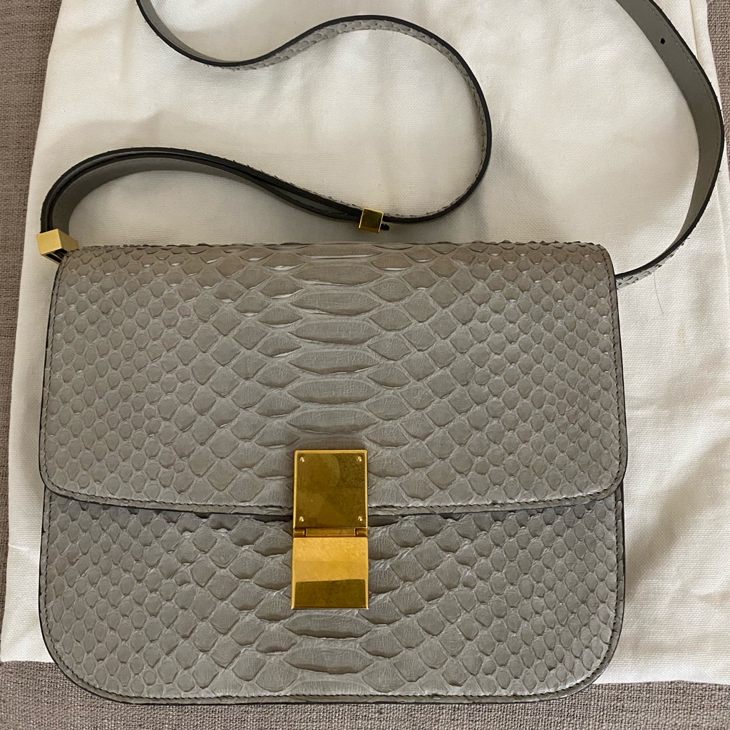 Celine Medium Python Classic Bag